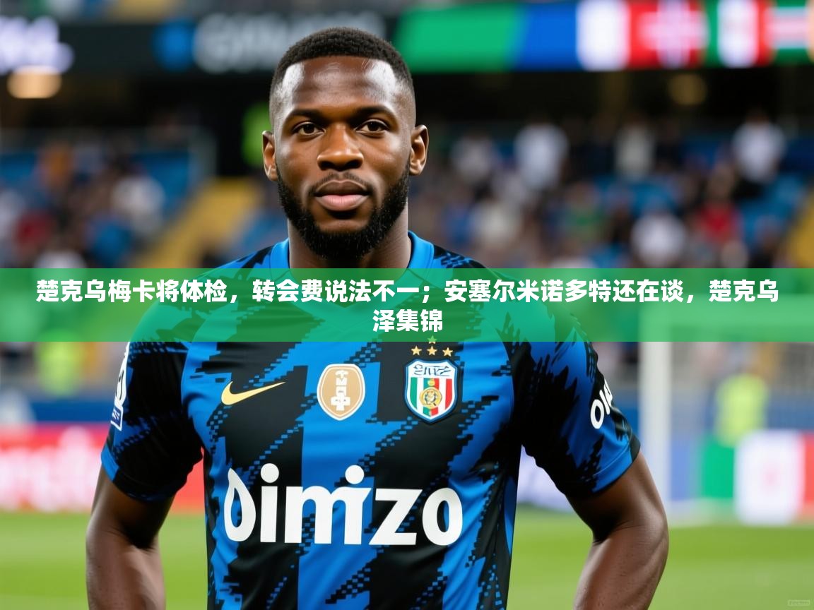 2025开云体育app官网下载地址楚克乌梅卡将体检，转会费说法不一；安塞尔米诺多特还在谈，楚克乌泽集锦  第2张
