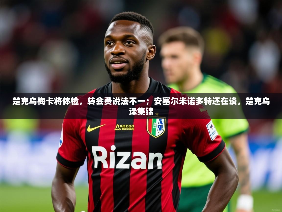 2025开云体育app官网下载地址楚克乌梅卡将体检，转会费说法不一；安塞尔米诺多特还在谈，楚克乌泽集锦  第3张