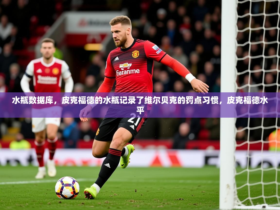 2025开云体育app优惠水瓶数据库，皮克福德的水瓶记录了维尔贝克的罚点习惯，皮克福德水平  第1张